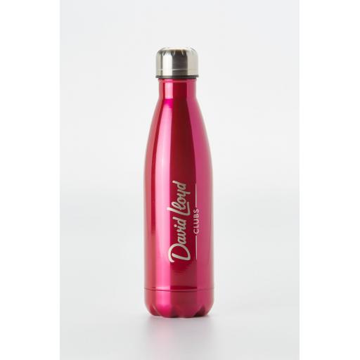 Cerise Stainless Steel Bottle